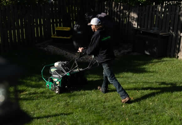 Aerating Overseeding Pricing