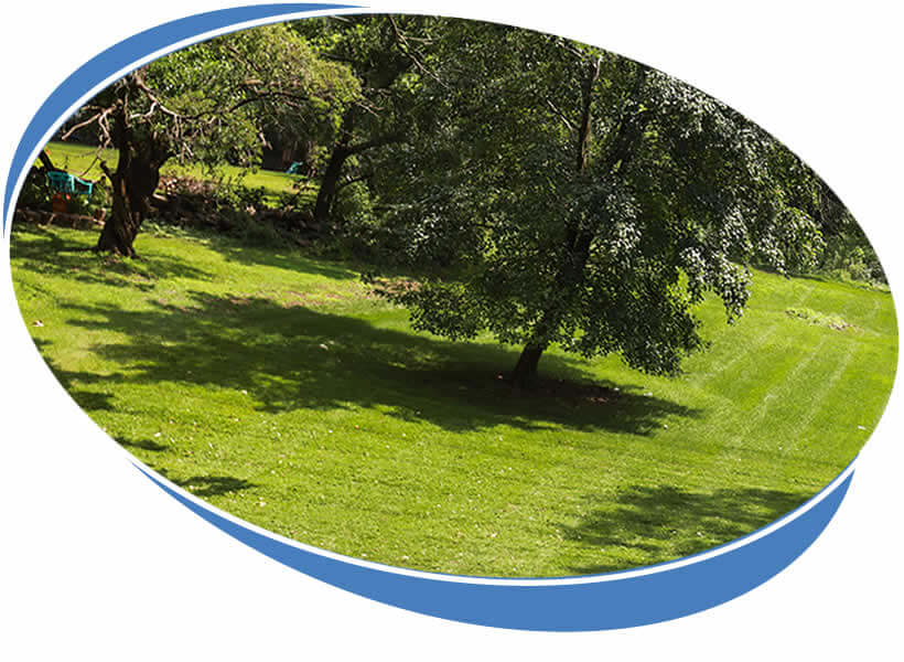 Local Lawn Aeration Services Illinois