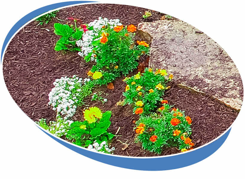 Local Mulch Installation Services