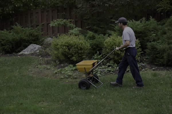 Illinois Get a Great Lawn with Yard Aeration from Fresh Cut Pros
