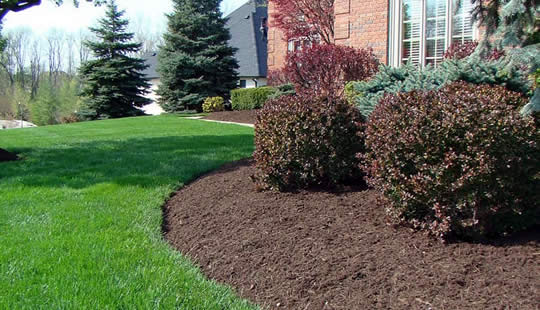 Plainfield Mulch Installation Services Fresh Cut Lawn Care Professionals
