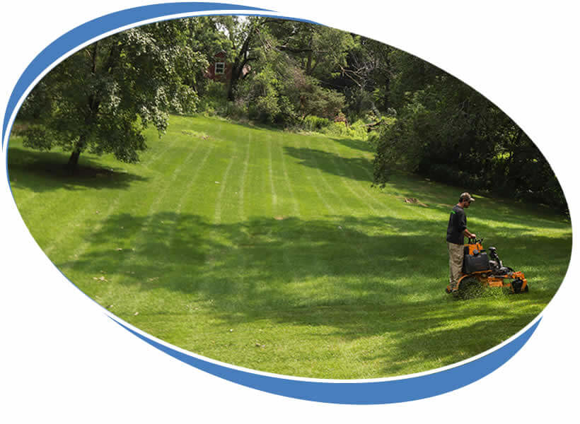 Local Plainfield Lawn Care Company