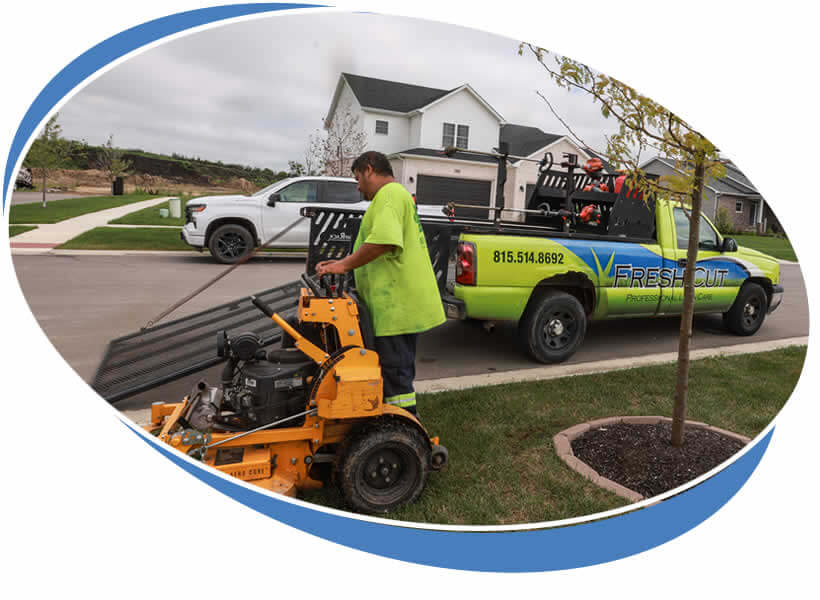 Local Lawn Mowing Yard Care Services