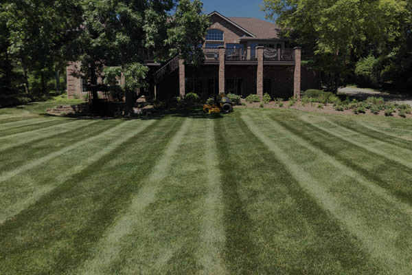 Lawn Seeding/FertilizingFresh Cut Professionals Illinois