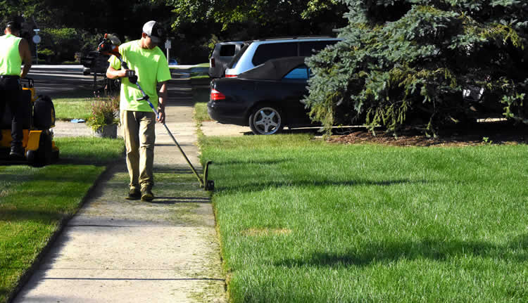 Elwood Weed Edging and Trimming Services Fresh Cut Lawn Care Professionals