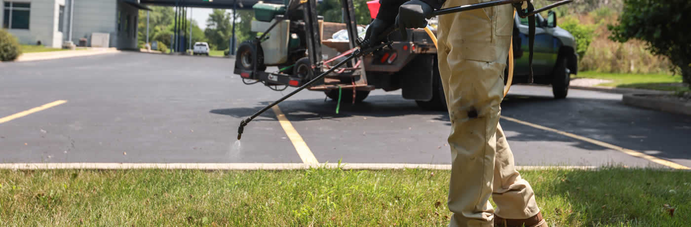 Pest Control and Mosquito Fogging Illinois