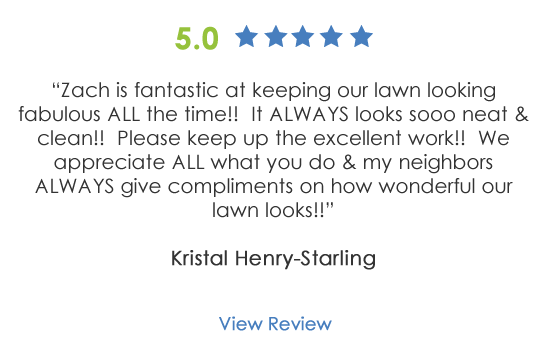 Lawn Care Maintenance Review