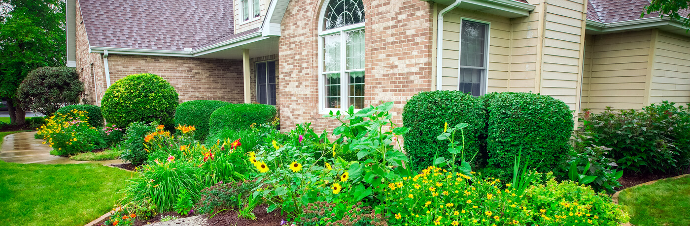 Shrub and Bush Trimming Company Illinois