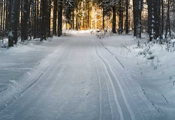 Snow Removal Pricing